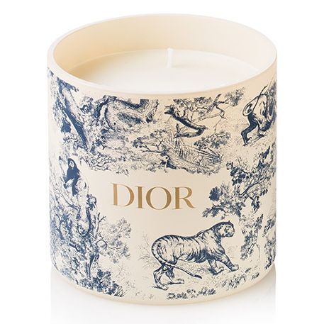 DIOR4.jpg