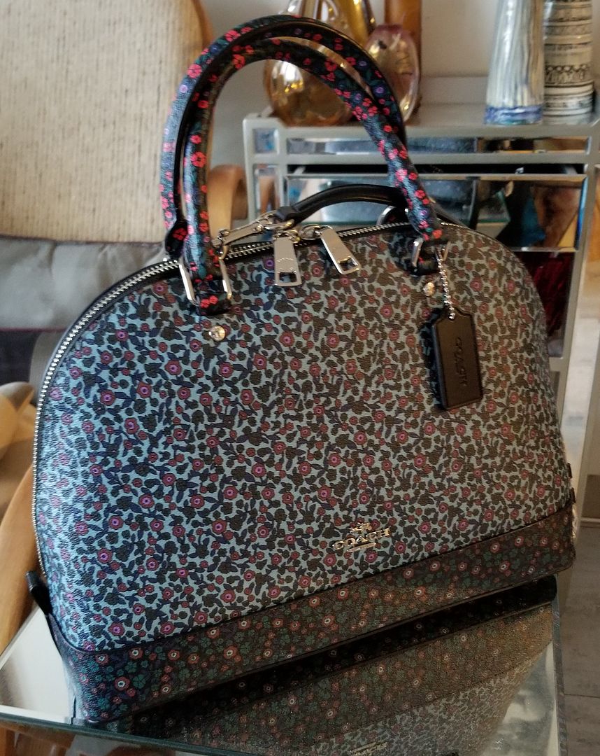 Coach%20Sierra%20Satchel.jpg