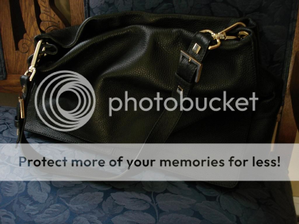 BlackBeautyMinerva011_zpsf0c75084.jpg