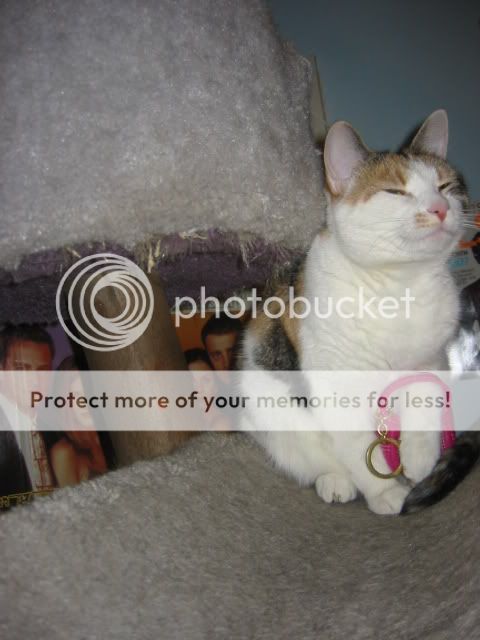 157-5795_IMG.jpg