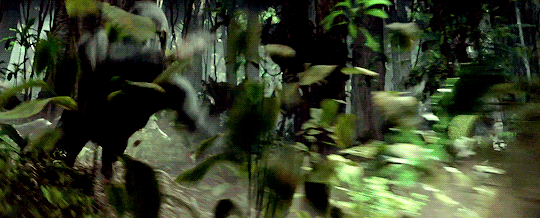 tumblr_o4778h6Qfm1ty8mi0o1_540.gif