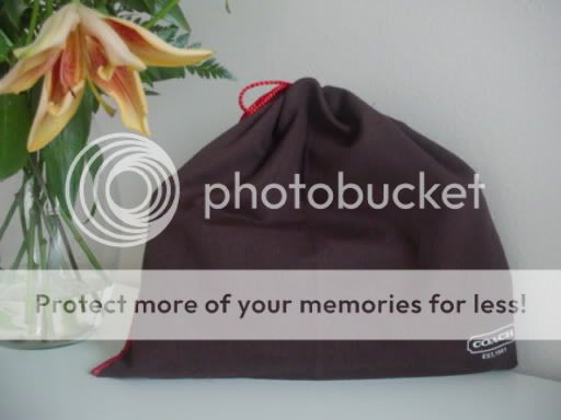 coachbag.jpg