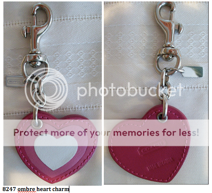 8247ombreheartcharmfront-back.png