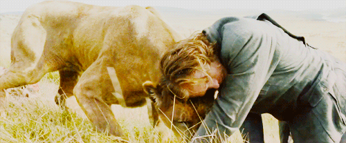 tumblr_o479wiv3hx1rtj2i3o2_500.gif