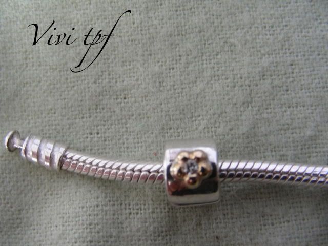 DSCN4393.jpg