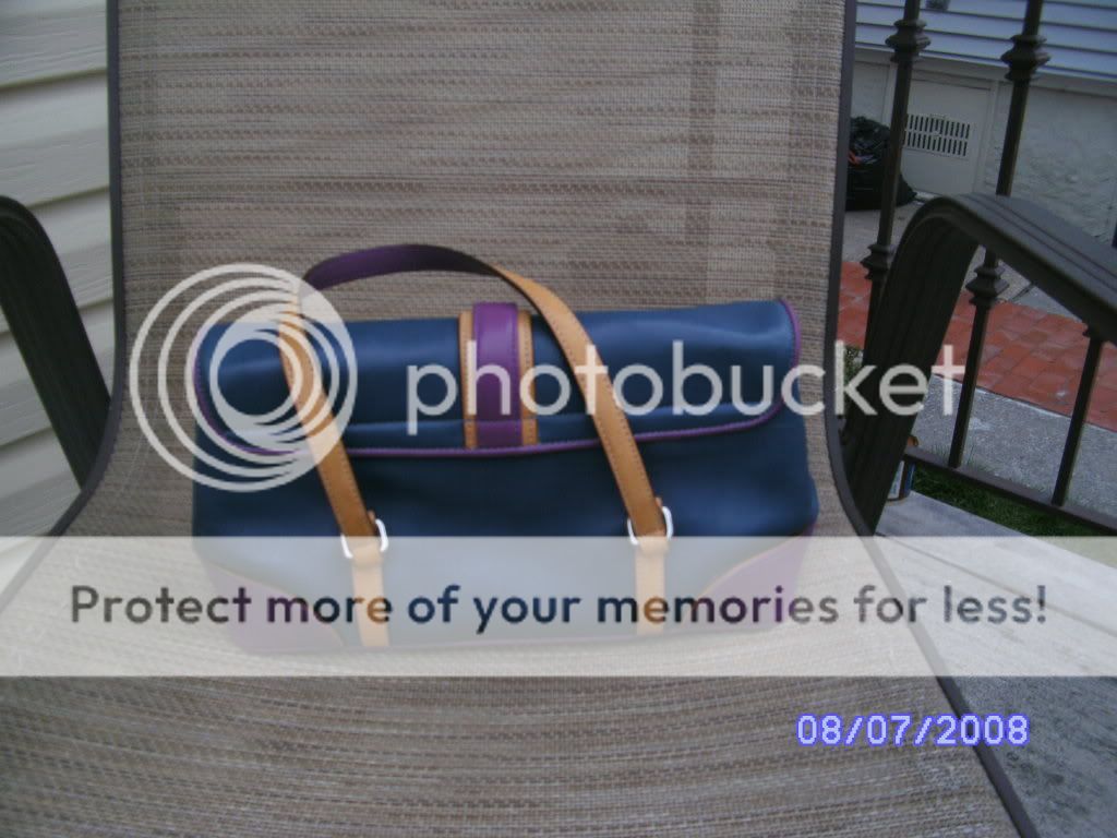 coachbag007.jpg