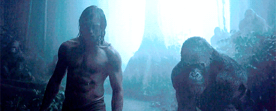 tumblr_nz4ef9WCgR1ty8mi0o3_r1_540.gif