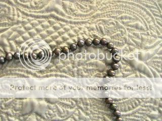 IMG_2529.jpg