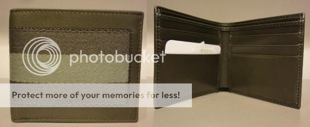 179GreenWebBi-fold245767H17OG8390.jpg