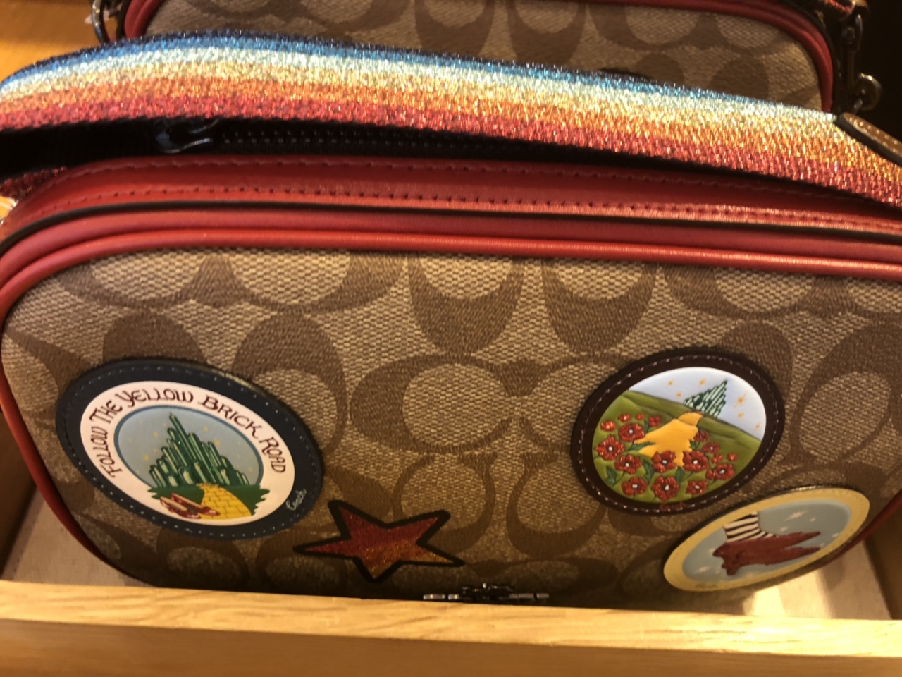 Coach Outlet x Wizard of Oz | PurseForum