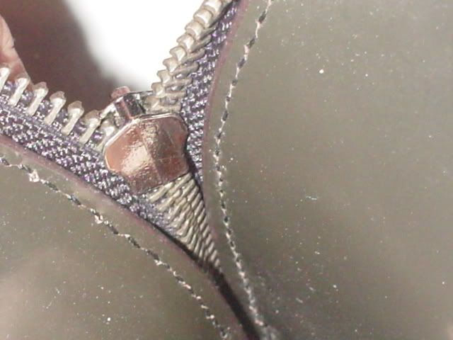 DSC02546.jpg