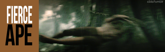 tumblr_o494q4ckni1qdljtto4_540.gif