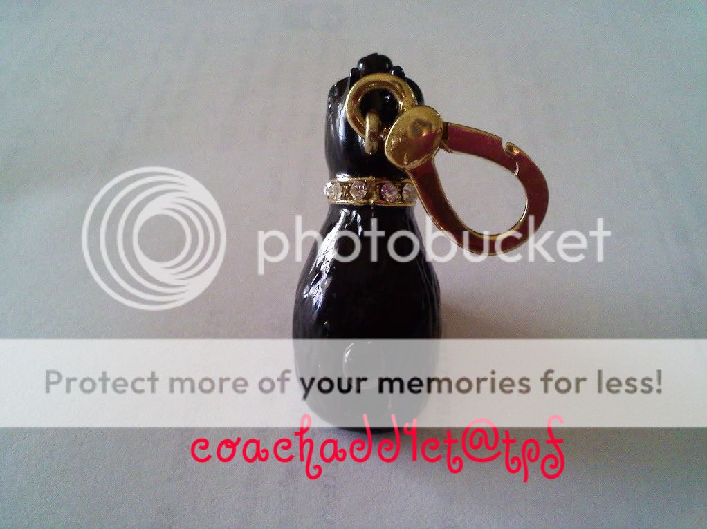 1208000825b.jpg