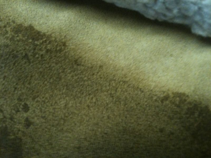 7c5792d7.jpg