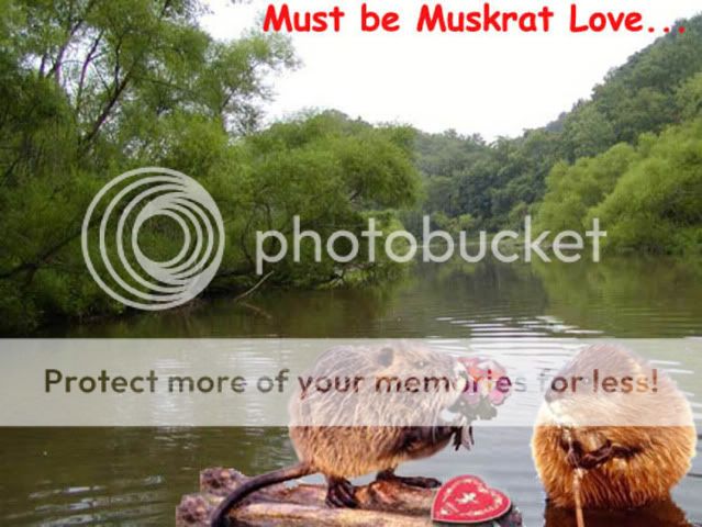 muskratlove.jpg