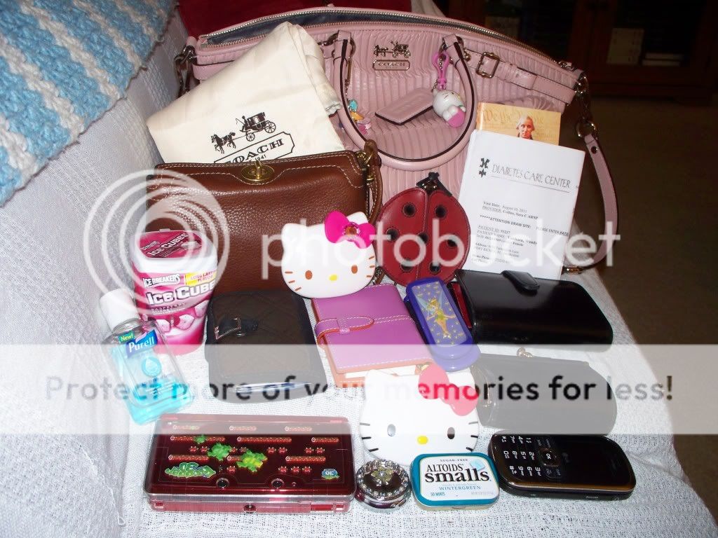 coachbagpics004.jpg