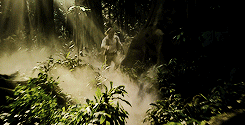 tumblr_o47ij5TRdN1qlgnv9o7_250.gif