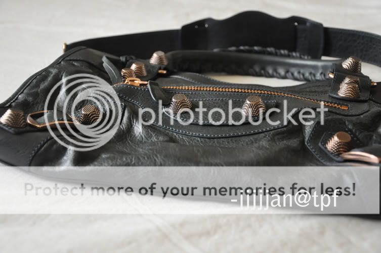 chewyleather.jpg
