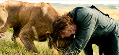 tumblr_o46uspOzam1rpotpgo5_250.gif