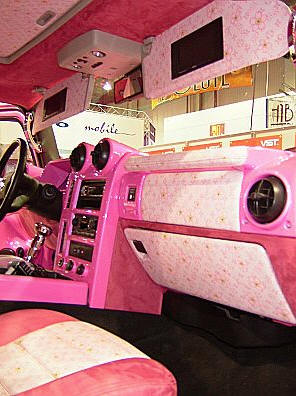 pink louis vuitton car