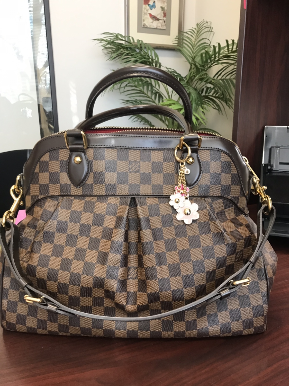 Pics of your Louis Vuitton in action | Page 1011 - PurseForum